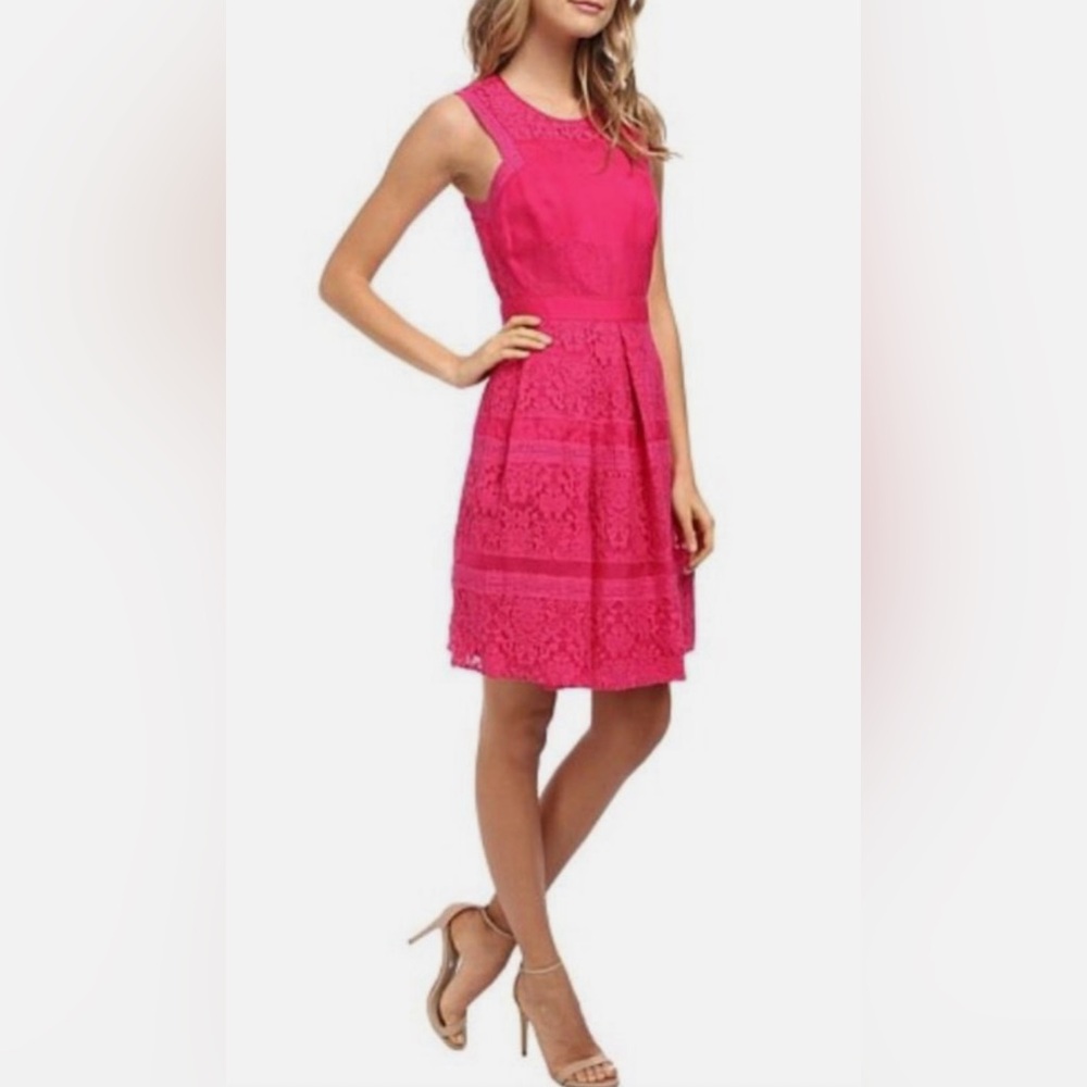 Rebecca Taylor Silk Lace Fit Flare Dress Pink